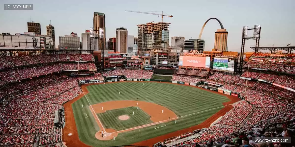 🎉 弹幕、解说、回放，直播乐趣不止于观看！